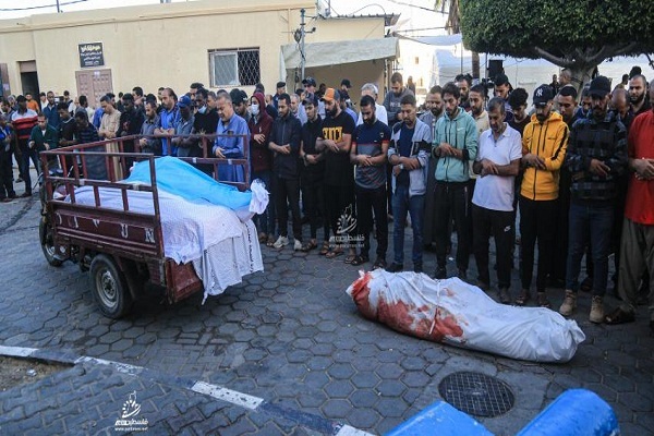 تحولات فلسطین؛ از بازداشت رئیس بیمارستان «شفا» در غزه تا هشدار یونیسف نسبت به احتمال وقوع فاجعه تحولات فلسطین؛ از بازداشت رئیس بیمارستان «شفا» در غزه تا هشدار یونیسف نسبت به احتمال وقوع فاجعه