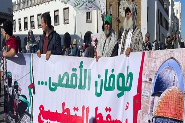 آغاز اعتصاب بین‌المللی و ادامه تظاهرات همبستگی با غزه