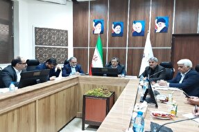 ۱۲ هزار نفر در کرمان مشمول دریافت زمین در طرح جوانی جمعیت هستند