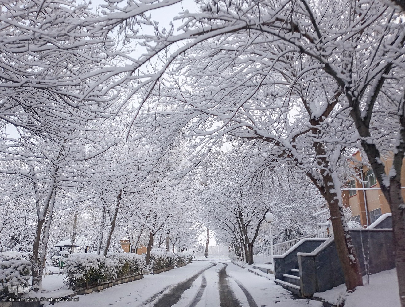 بارش اولین برف پاییزی در شهرستان اهر