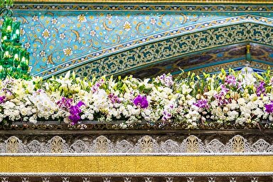 فیلم | بهار دلنشین حرم رضوی