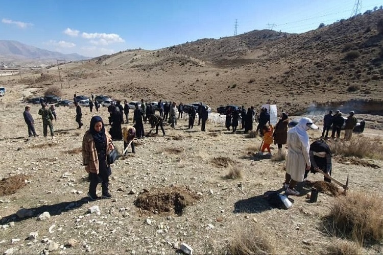کاشت نهال، شیراز