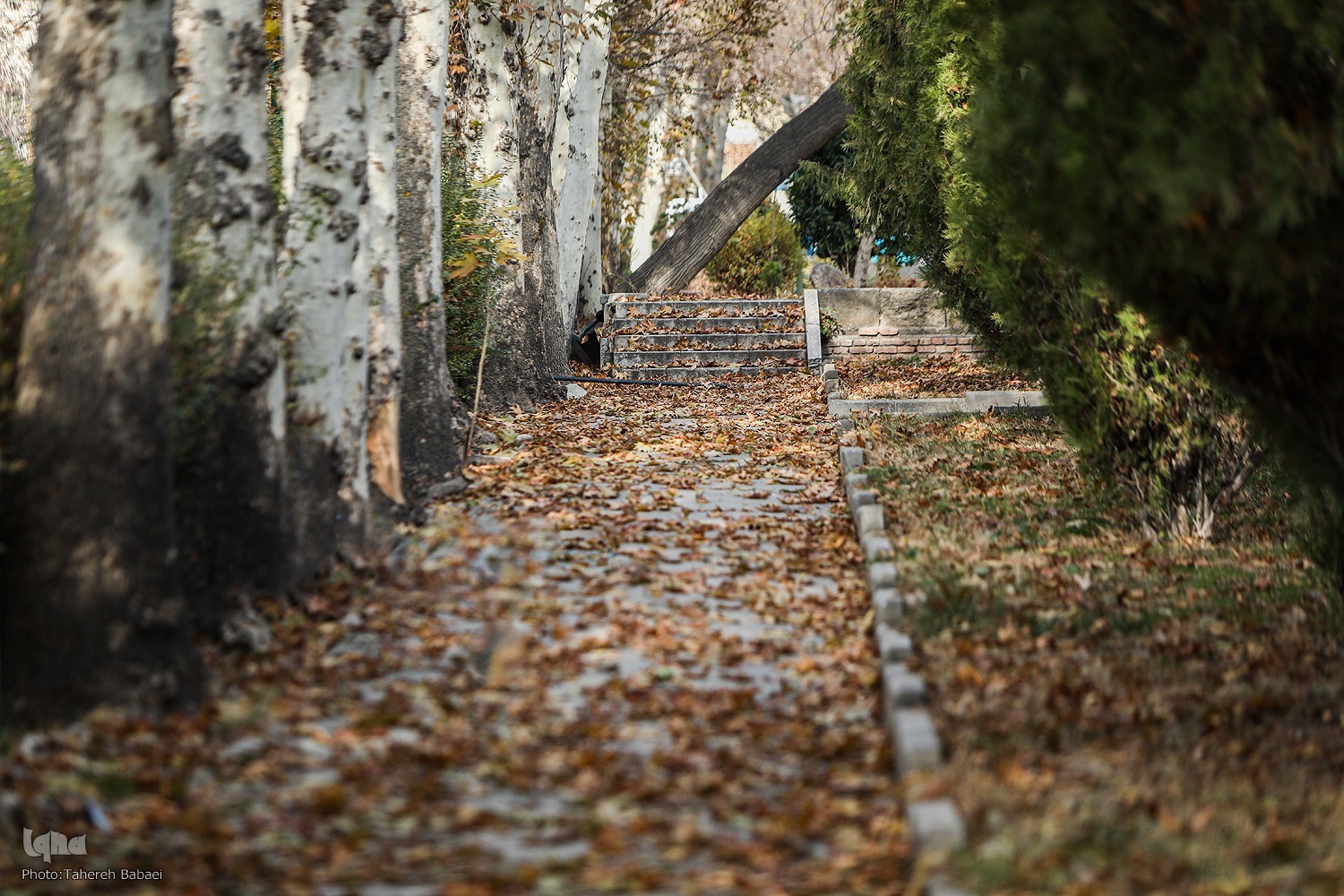 هوای تهران در آستانه پاکی