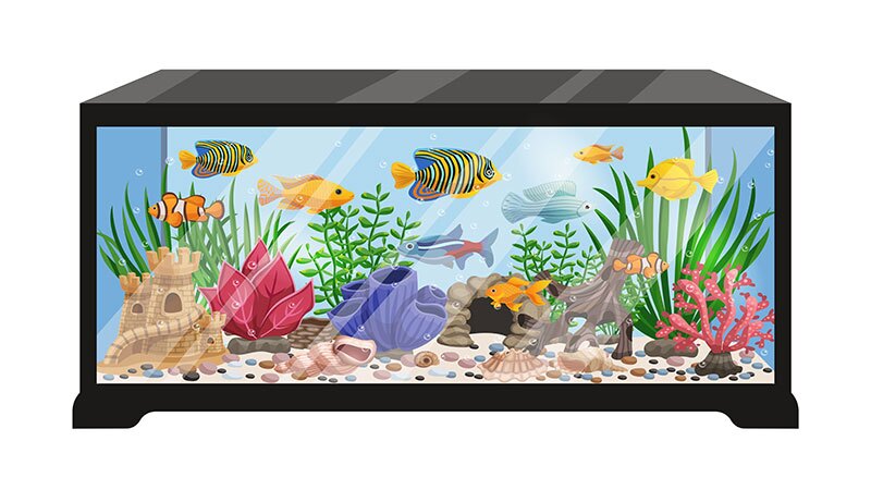 راهنمای خرید بهترین بخاری آکواریوم