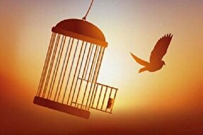 ۱۶ زن زندانی جرائم غیرعمد در همدان آزاد شدند