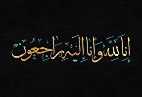 پدر شهید «حمید بیات» به فرزند شهیدش پیوست