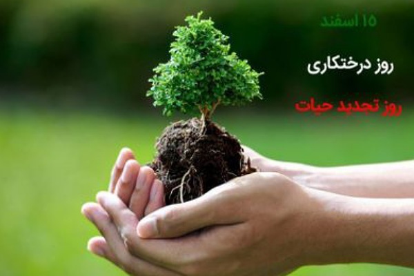 درختکاری