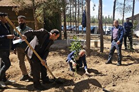 کاشت نهال‌های ایثار به یاد شهدا در یزد
