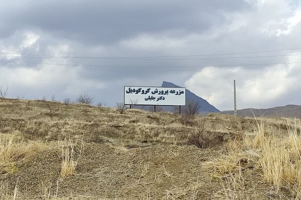 مزرعه کروکودیل ملایر