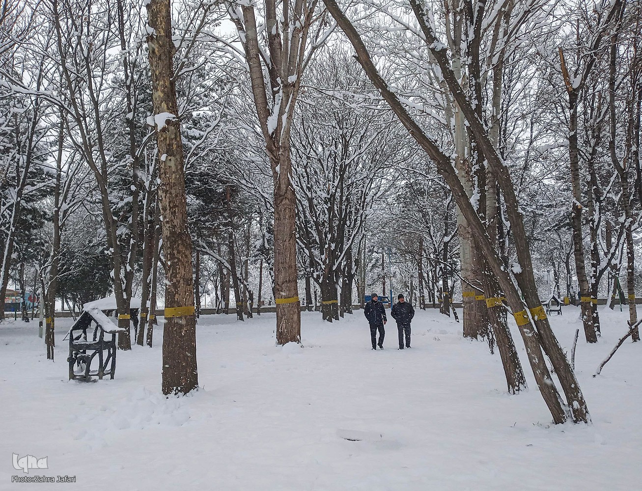 تداوم بارش برف و برودت هوا در شهرستان اهر