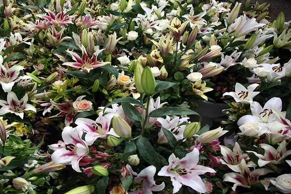 گل طبیعی