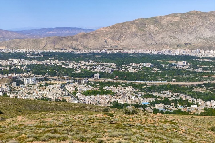 شهرداری شیراز