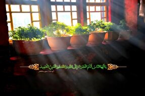 آیه نگاشت | آیه ۱۵ سوره مبارکه فاطر