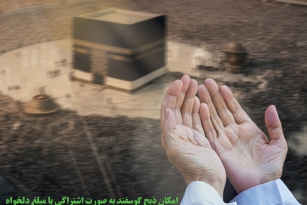 آسایشگاه خیریه کهریزک میزبان خیرین عید قربان