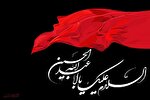 فیلم | جایگاه ممتاز زیارت امام حسین(ع)