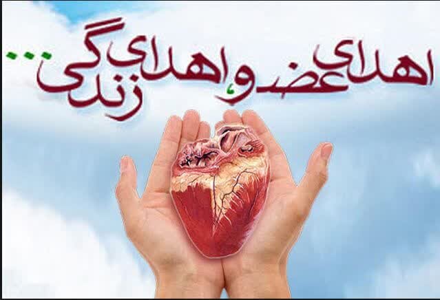 اهدای اعضا