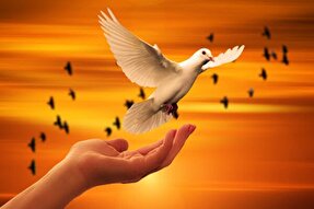 راه‌اندازی پویش «هر هیئت یک زندانی» در آذربایجان غربی