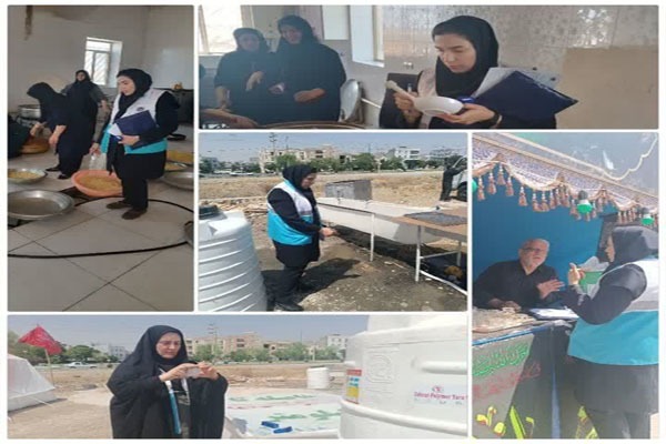 فعالیت ۱۴ تیم بازرسی بهداشت محیط در مواکب لرستان