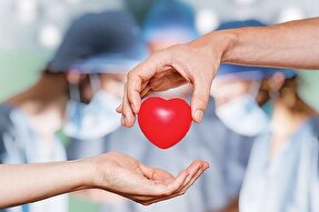 اهدای اعضای ۶ بیمار مرگ مغزی شده در قزوین