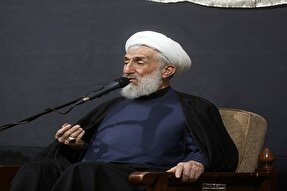 محبان سیدالشهدا(ع) از سبک زندگی غربی فاصله می‌گیرند