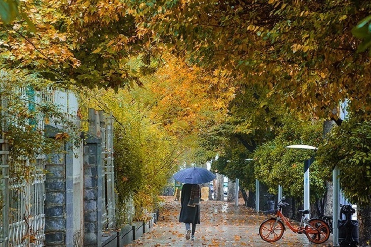 گذر گردشگری ارم شیراز