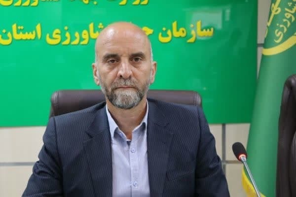 سیدعماد شاهرخی، رئیس سازمان جهاد کشاورزی استان لرستان