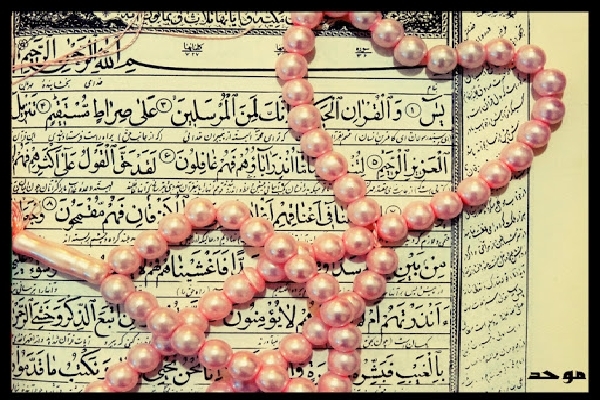 فیلم | قرائت آیاتی از سوره مبارکه یاسین