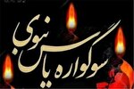 برگزاری سوگواره «یاس نبوی» در ۳۵ بقعه شاخص چهارمحال‌وبختیاری