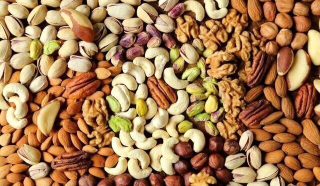 برخط جامعه
