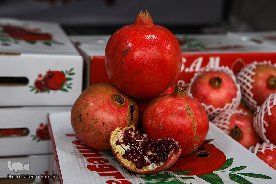 برخط جامعه
