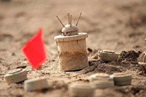 همدان ۱۷۶ شهید تخریب‌چی دارد