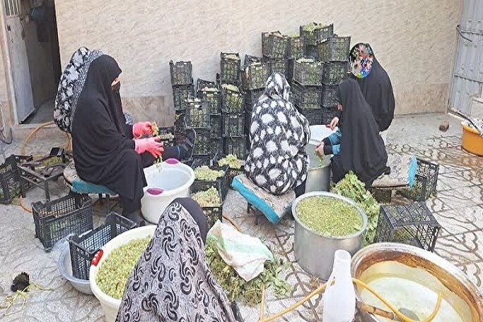 جریان نبض مقاومت در تلاطم سخاوت جهادی بانوان روستای انصارالامام