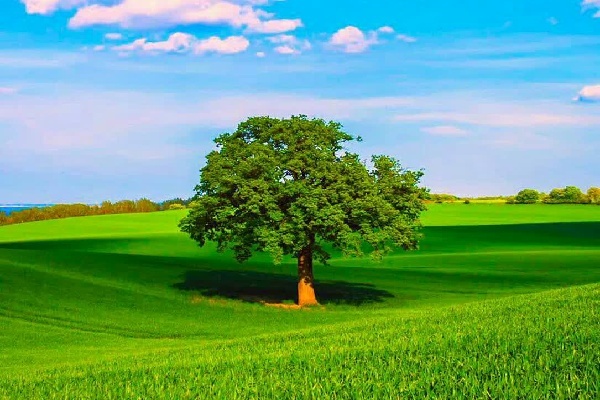 سیزده بدر واقعی خروج از افکار خرافی به سوی دانش و بینش است