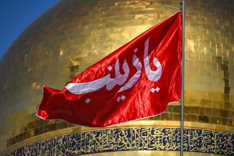 حضرت زینب(س) حضرت زینب(س)