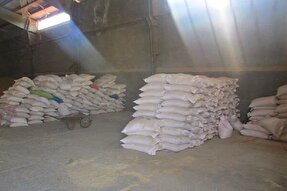 کشف ۱۰۰ تن کالای اساسی احتکار شده در لرستان