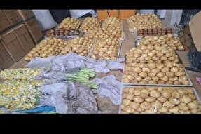 توزیع ۳۳۱۳ شاخه گل نرگس و بسته‌های شیرینی در زنگی‌آباد کرمان + فیلم