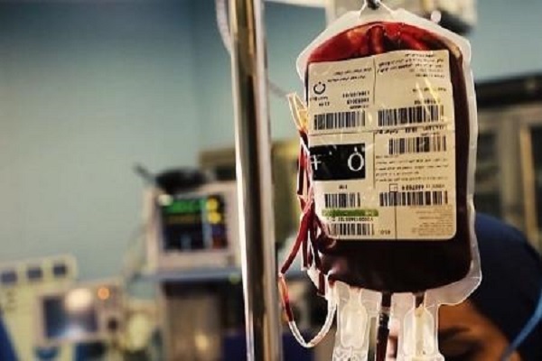 انقلاب فجر، در آغوش نور شعبان