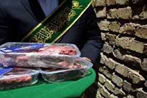مشارکت بیش از ۱۳ هزار نفر در طرح «نذر قربانی اعیاد شعبان» حرم بانوی کرامت