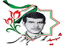 مادر «محمدحسن باقری» به فرزند شهیدش پیوست