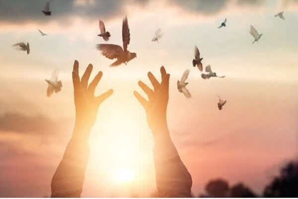 ۲۶۴ زندانی غیرعمد یزدی از زندان‌های استان آزاد شدند