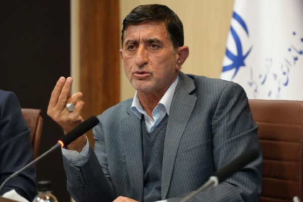 سید حمیدرضا کاظمی، نماینده مردم پلدختر و معمولان در مجلس شورای اسلامی