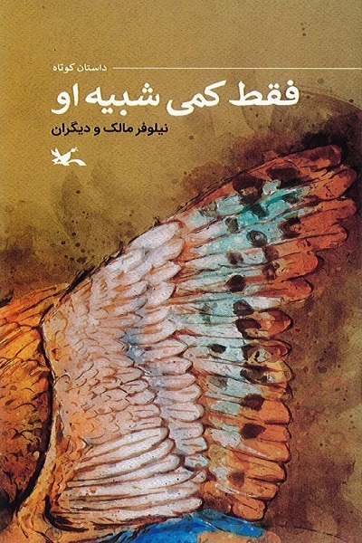 ارسالی//// کتاب «فقط کمی شبیه او» منتشر شد