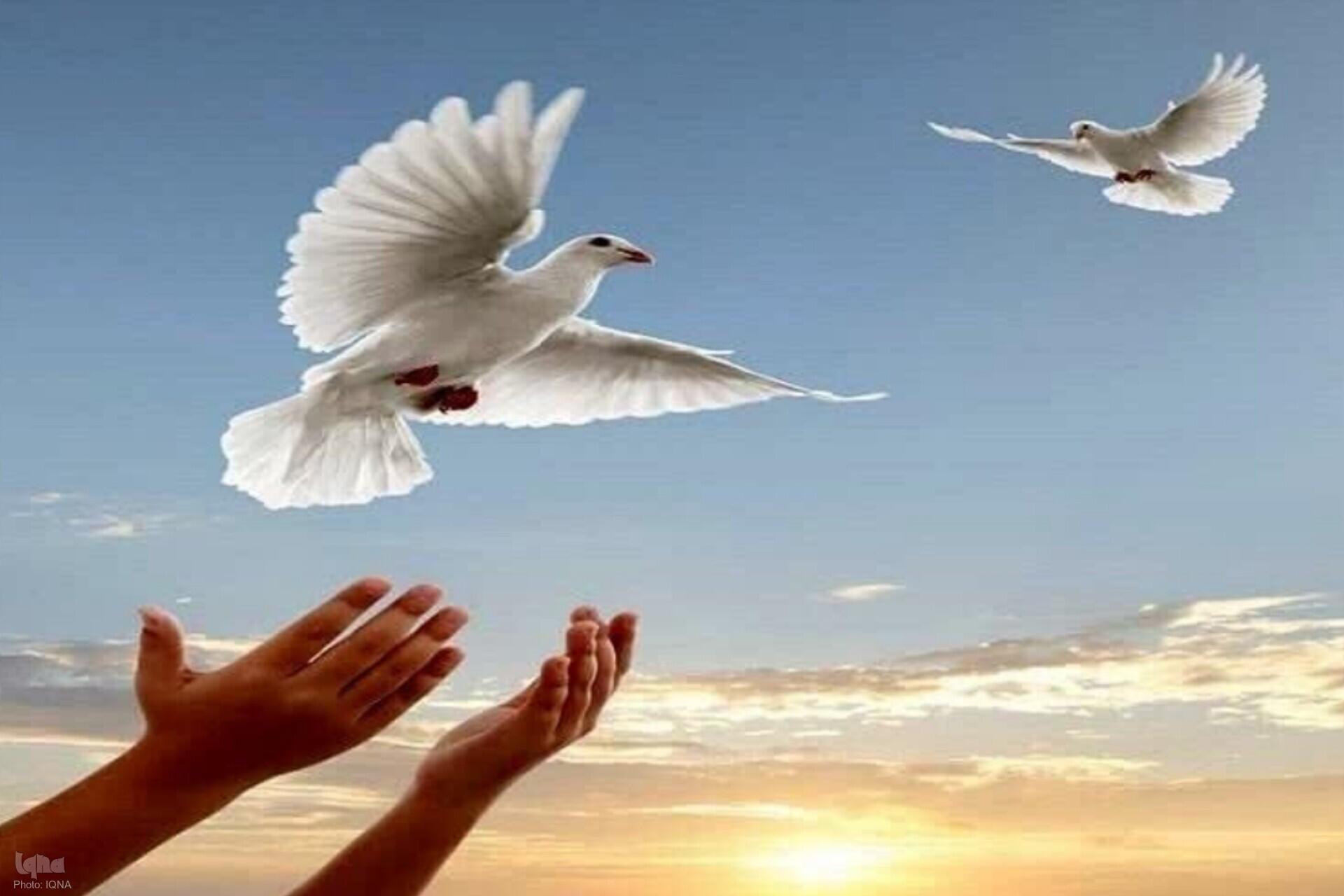 گذشت از قصاص