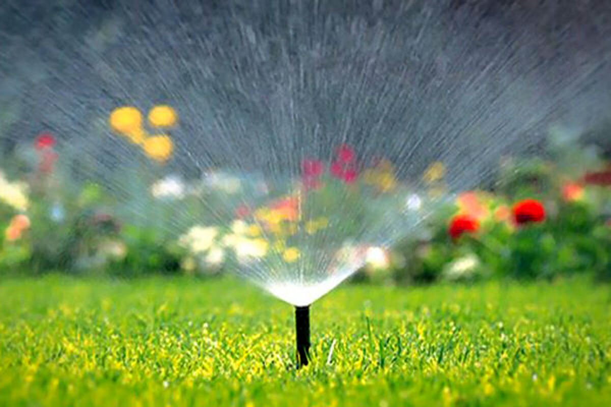 سرانه فضای سبز