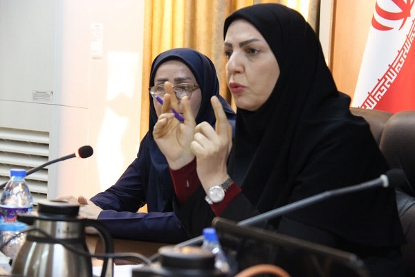بیتا حامد عضو هیات علمی و مدیرگروه جامعه شناسی جهاددانشگاهی نشست «رابطه فرهنگ عمومی با حکمرانی فرهنگی؛ چالش ها و راهکارها» برگزار شد