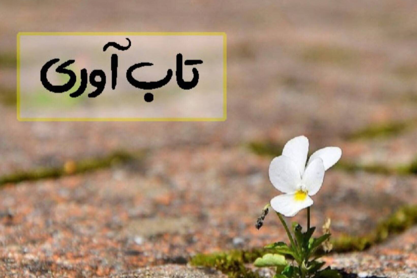 تکنیکهای افزایش تابآوری در بحران تکنیکهای افزایش تابآوری در بحران
