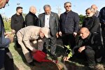 غرس نهال به یاد رهبر شهید در خوزستان
