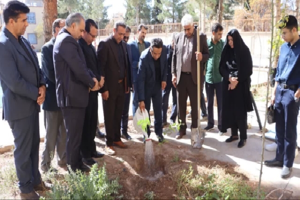 کاشت درخت