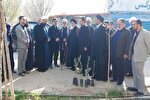 کاشت نهال به یاد رهبر شهید از سوی استاندار قم