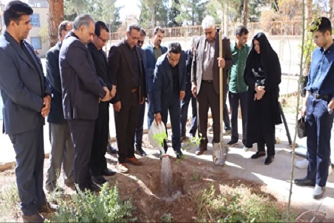 کاشت ۵ هزار اصله درخت در مدارس کرمان